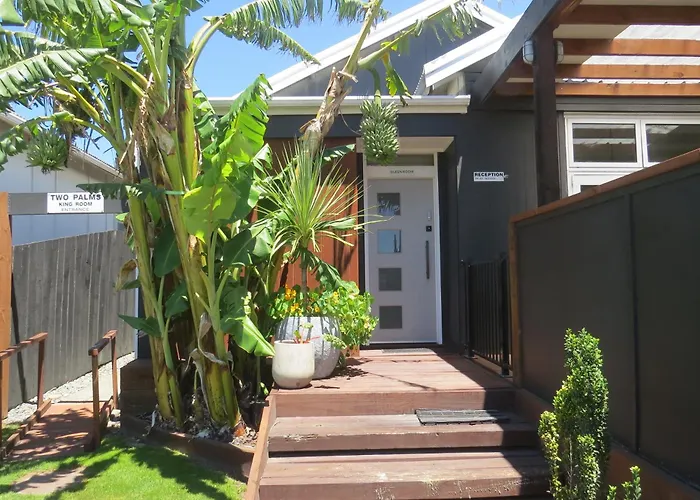 Two Palms